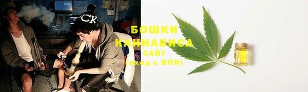 PSILOCYBIN Нягань