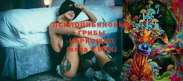 кокс Няндома