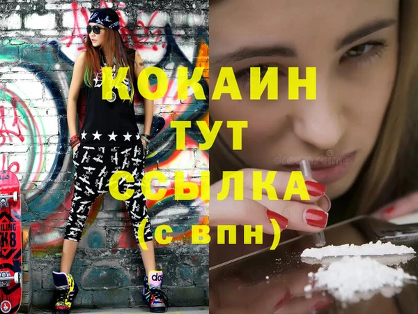 кокс Няндома